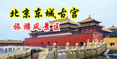 鸡巴插逼黄色中国北京-东城古宫旅游风景区